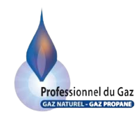 Professionnel_du_gaz